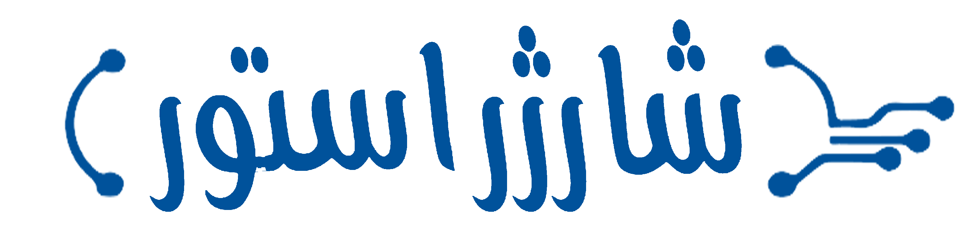 لوگوی شارژر استور